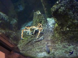 Haus des Meeres 4.02.2026